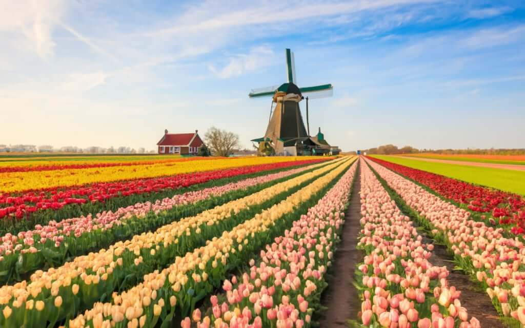 Welcome to Netherlands Destinations